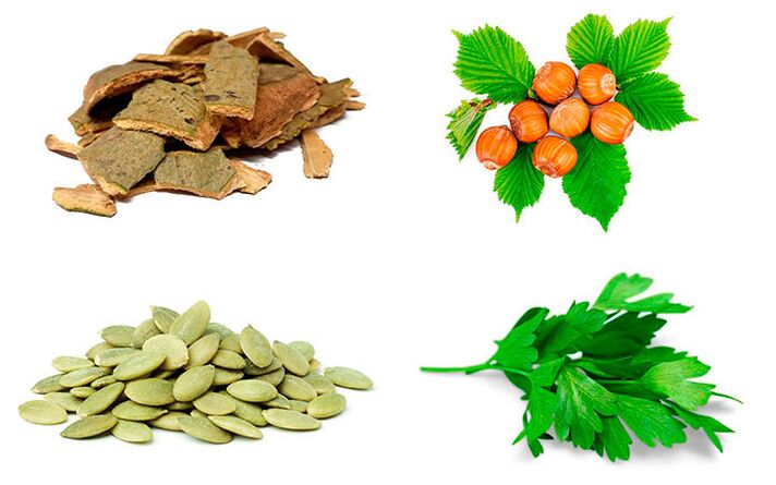 Remedii populare pentru combaterea prostatitei - coaja de aspen, seminte de dovleac, patrunjel si alune